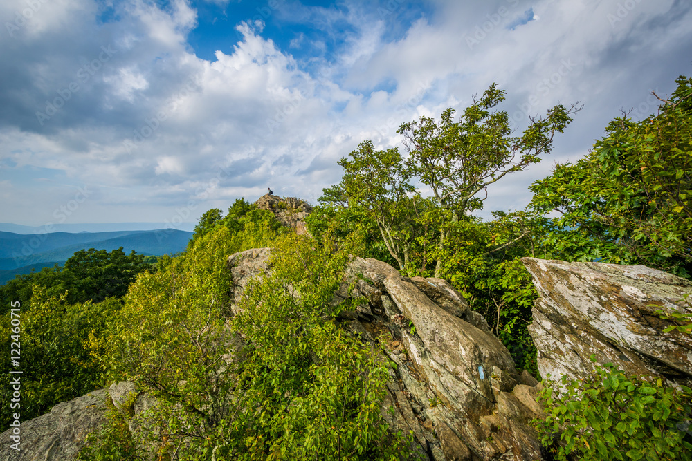 The rugged, rocky summit of Bearfence Mountain in Shenandoah Nat The rugged, rocky summit of Bearfence Mountain in Shenandoah Nat