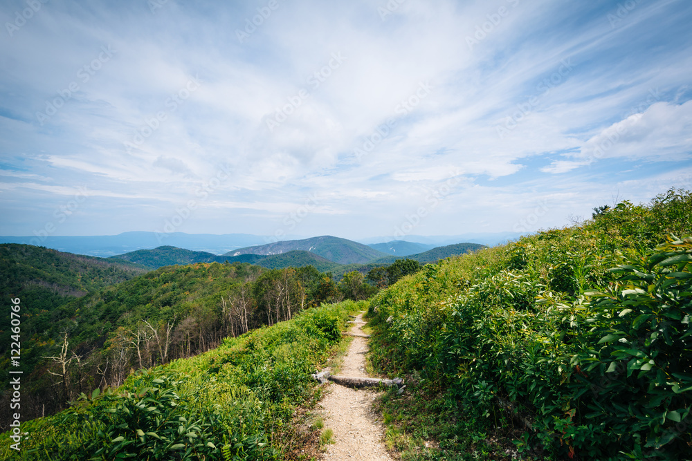 Trail and view of the Blue Ridge Mountains, in Shenandoah Nation