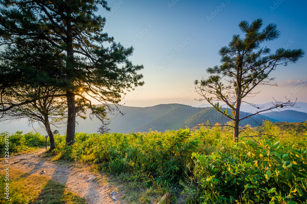 Trail and view of the Blue Ridge Mountains at sunset in Shenando Trail and view of the Blue Ridge Mountains at sunset in Shenando