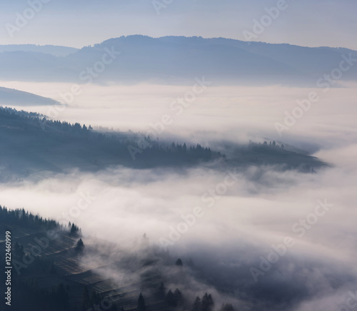 Foggy Landscape in Mountains. Beautiful morning landscape with trees in the fog.