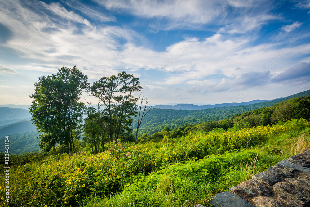 Trees and view of the Blue Ridge Mountains in Shenandoah Nationa