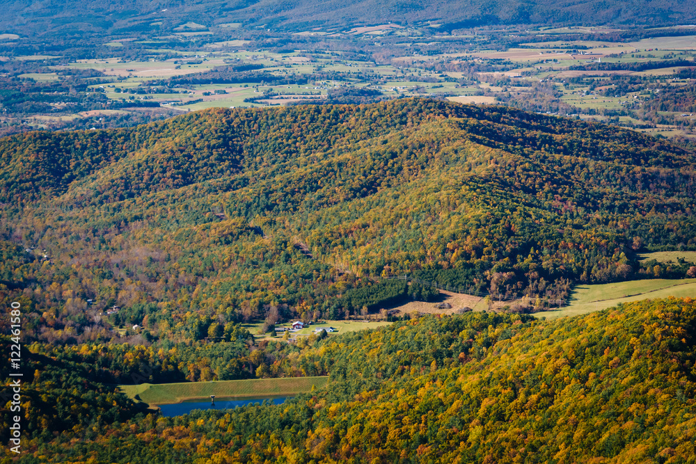 View of fall color in the Shenandoah Valley, from Skyline Drive
