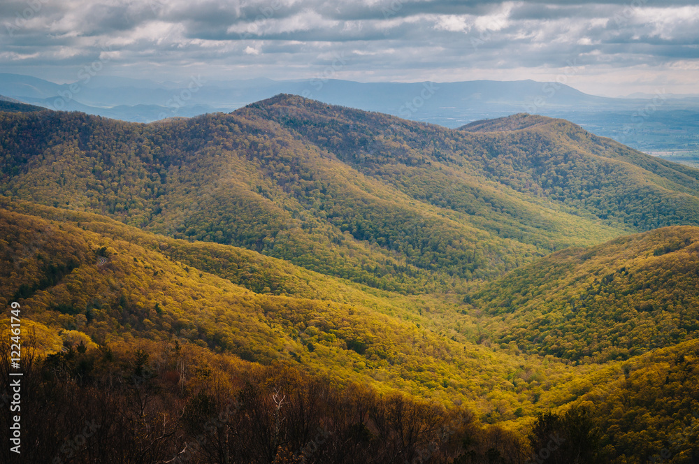 View of spring color in the Blue Ridge Mountains from Blackrock