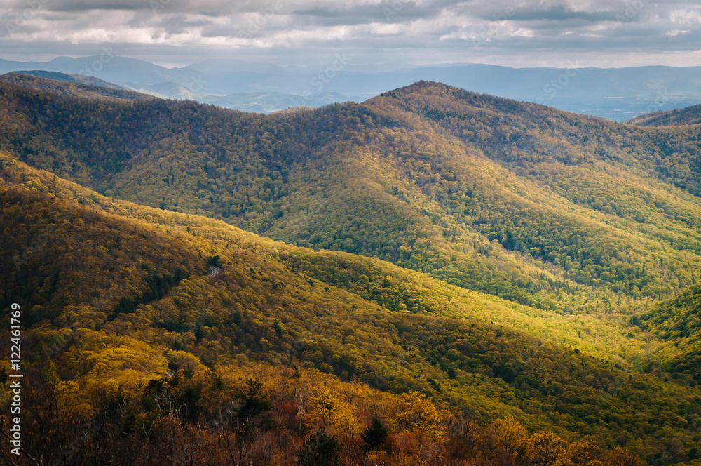 View of spring color in the Blue Ridge Mountains from Blackrock