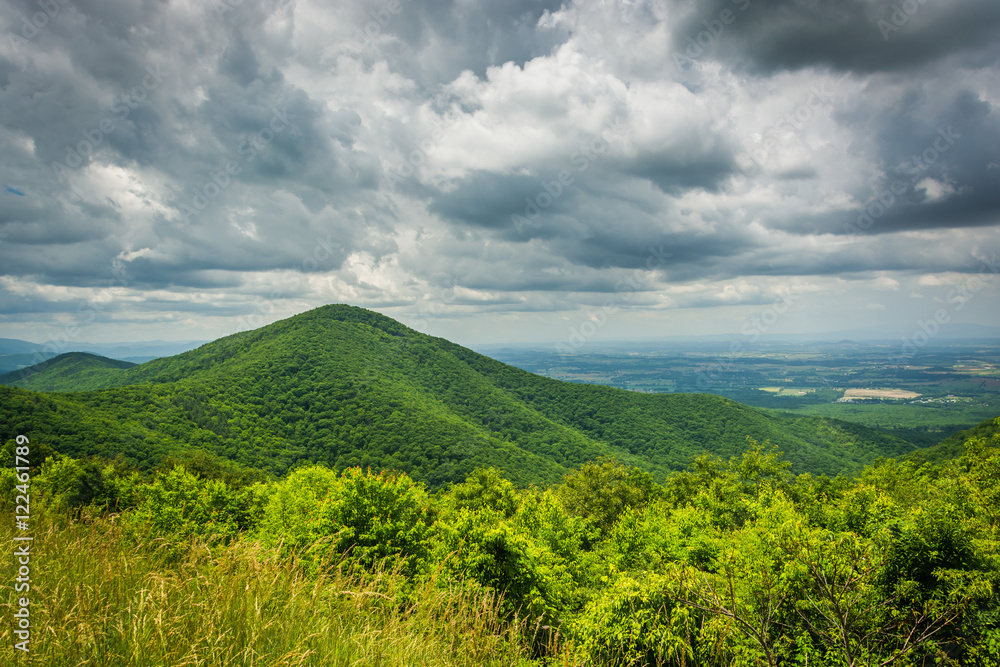 View of the Blue Ridge Mountains and Shenandoah Valley, from Sky