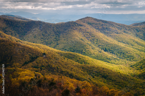 View of spring color in the Blue Ridge Mountains from Blackrock