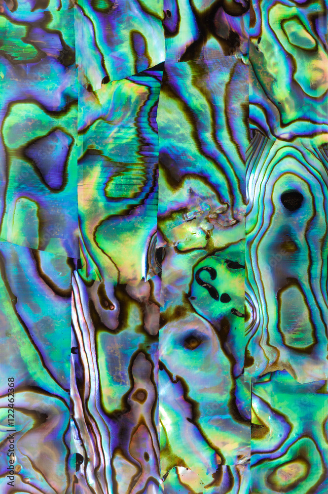 Abalone Shell Texture
