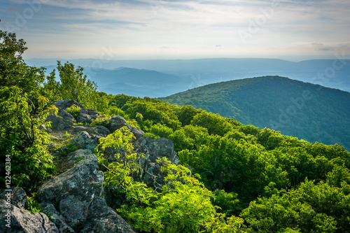 View of the Blue Ridge Mountains from Hawksbill Summit, in Shena photo