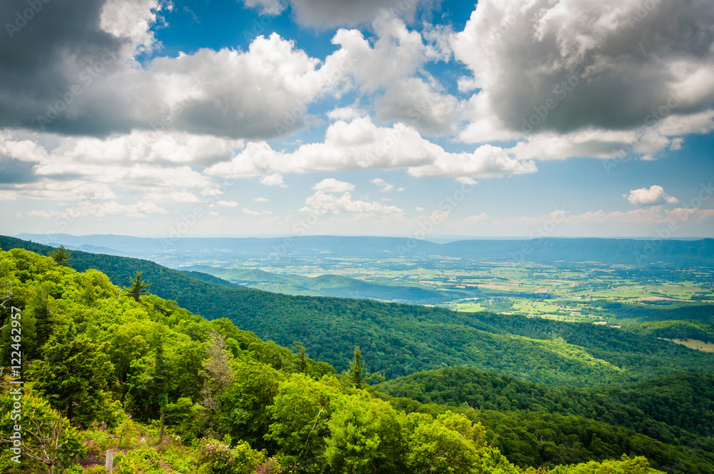 Fototapeta premium View of the Blue Ridge Mountains from Skyline Drive, in Shenando