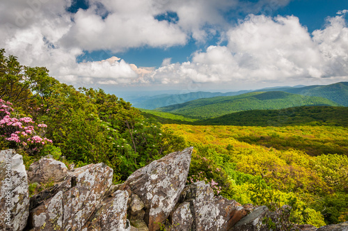 View of the Blue Ridge Mountains from Stony Man Mountain, in She