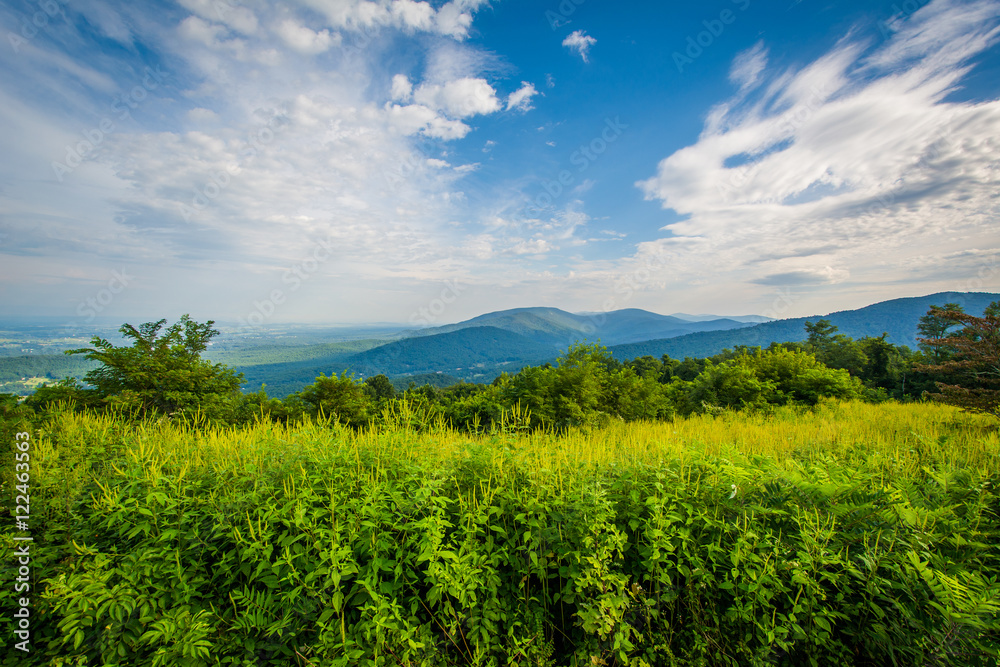 View of the Shenandoah Valley and Blue Ridge from Skyline Drive,