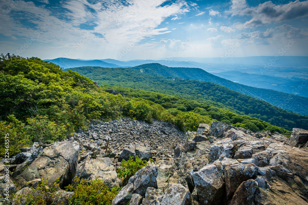 View of the Shenandoah Valley and Blue Ridge from Stony Man Moun