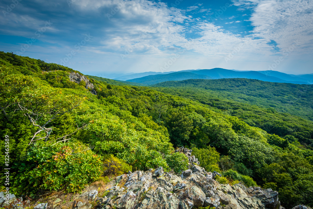 View of the Shenandoah Valley and Blue Ridge from Stony Man Moun View of the Shenandoah Valley and Blue Ridge from Stony Man Moun