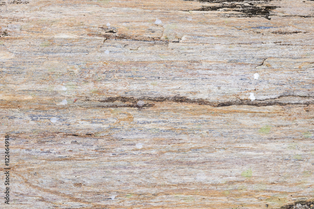 Fototapeta premium Stone surface