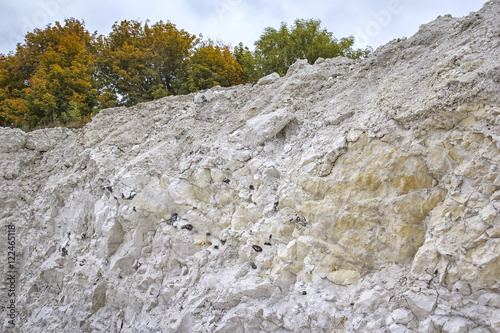 Fotografie Detail of Limestone, Calcareous, Chalk