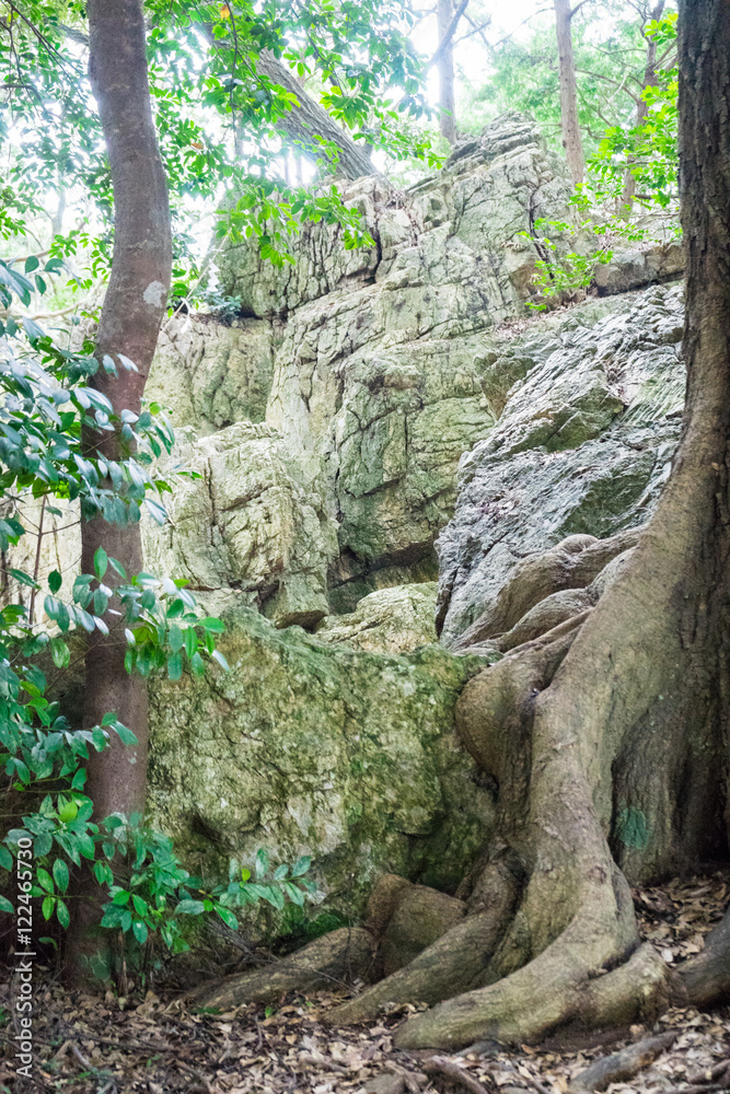 Tenpaku Iwakura Remains