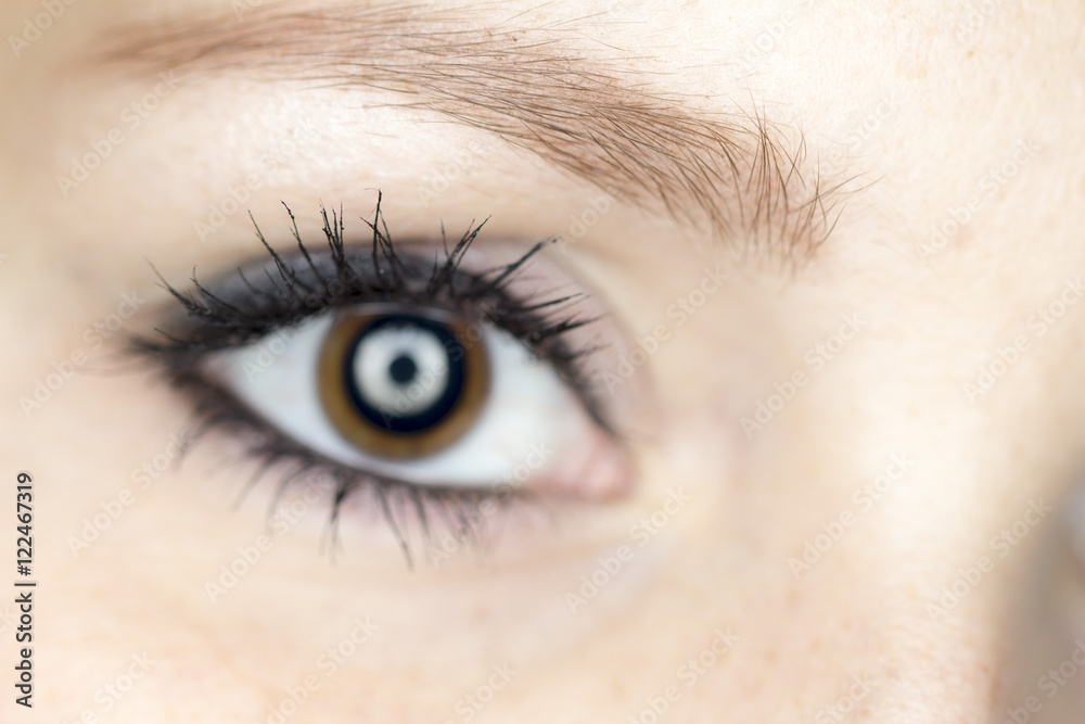 Obraz premium Tiefe Blicke