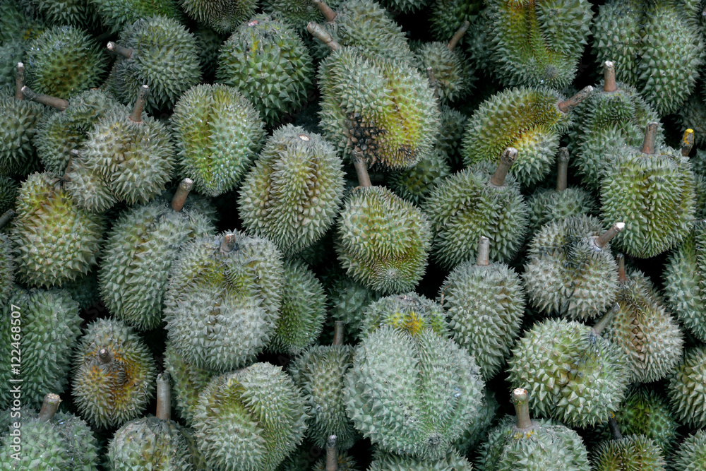 Group of durian Group of durian