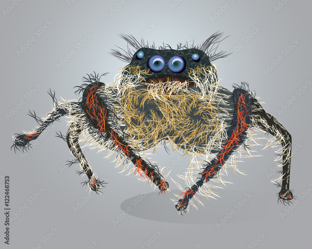 Funny hairy spider. Vector Halloween spider. Cute cartoon spider . Stock Vector | Adobe Stock Funny hairy spider. Vector Halloween spider. Cute cartoon spider . Stock Vector | Adobe Stock
