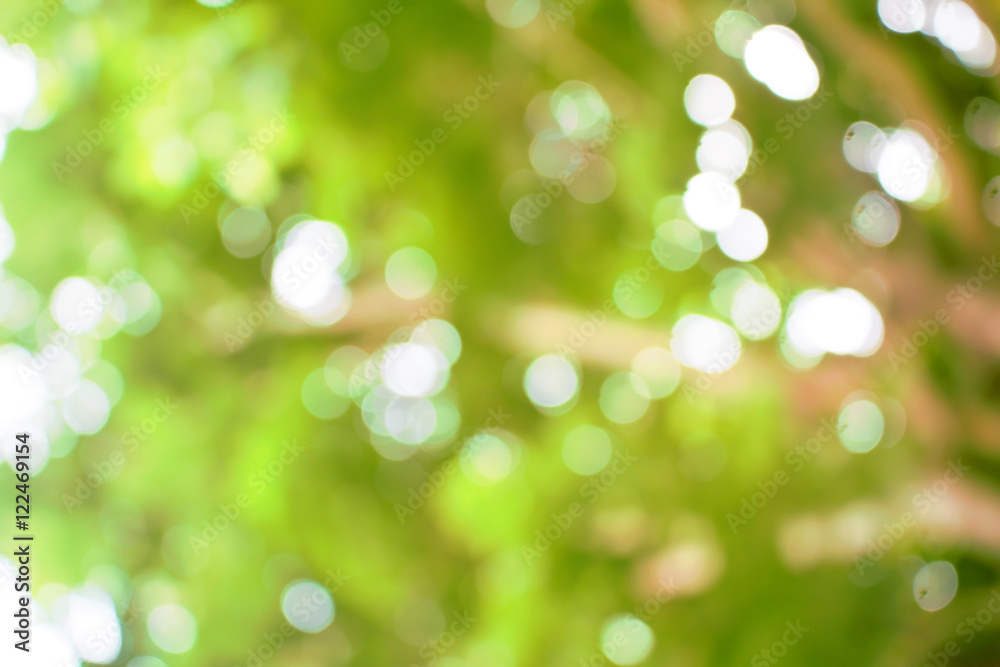 Fototapeta premium green blur background.