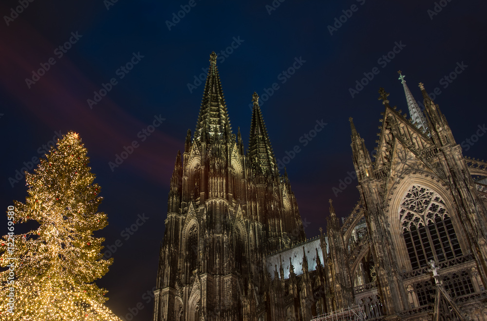 Kölner Dom mit Weihnachtsbaum bei Nacht