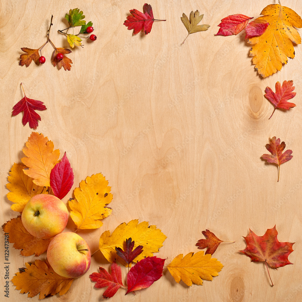 Fototapeta premium autumn frame from leaves on wood background