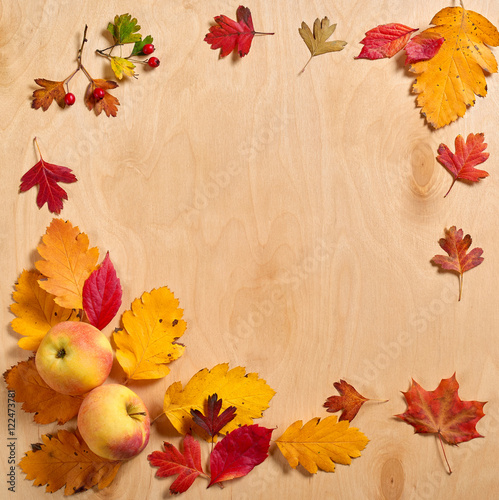 autumn frame from leaves on wood background