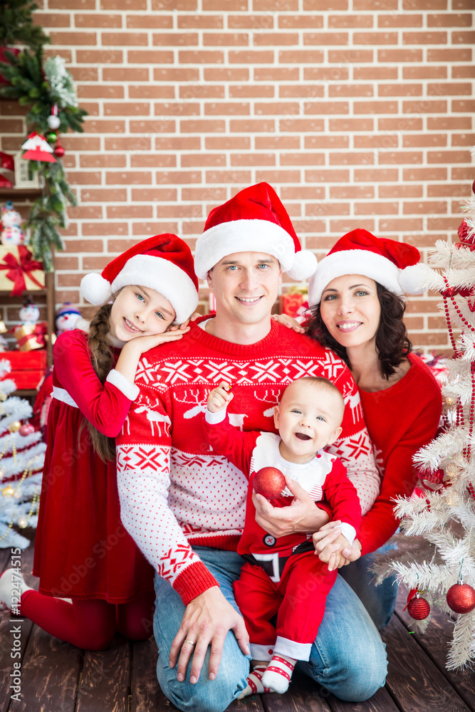 Fototapeta premium Christmas winter holiday concept