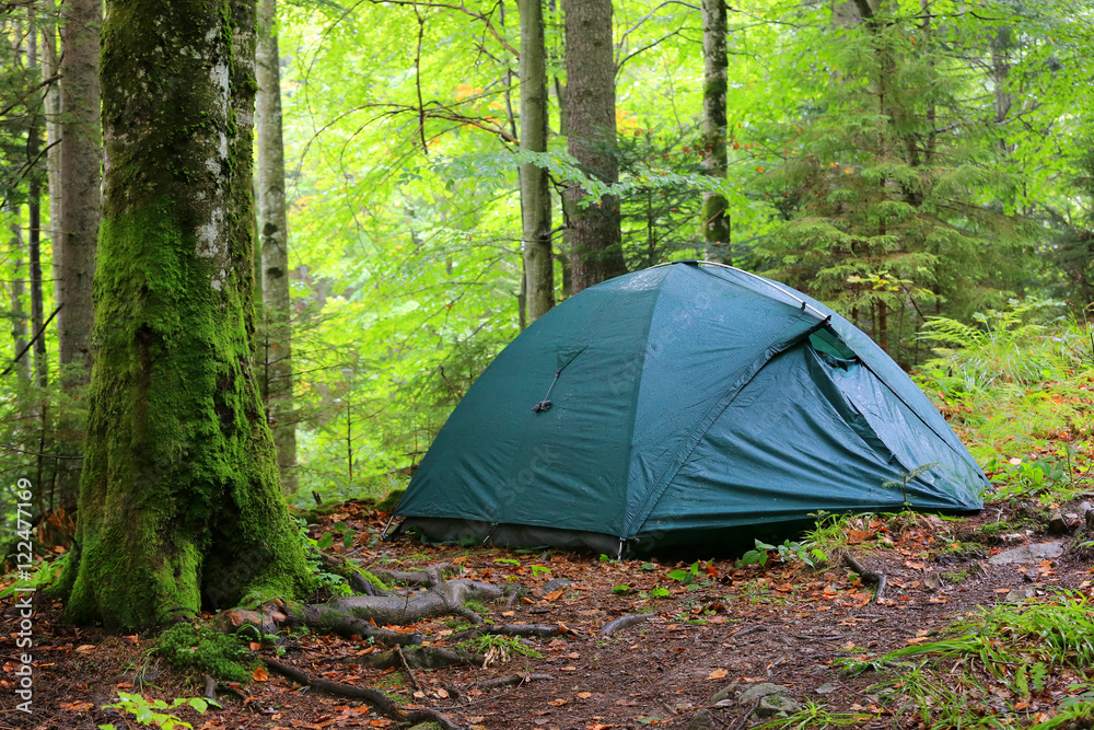 Tourist tent in forest