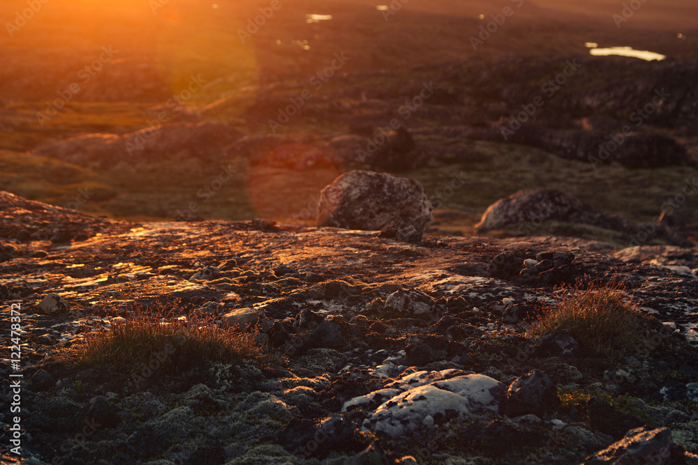 Beautiful sunset sunbeam over mossy rocks and meadow. Arctic summer, the tundra, Norway.