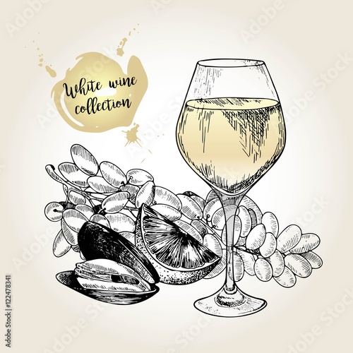 Vector set of white wine collection. Engraved vintage style. Glass, mussel, lime and sultana grape.