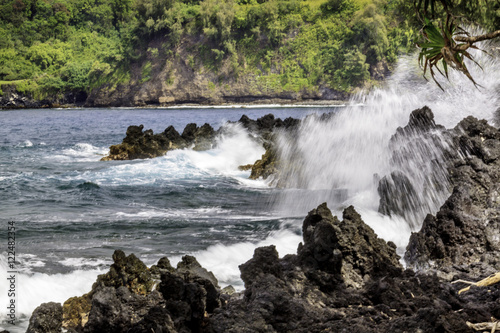 The coast of Hawaii