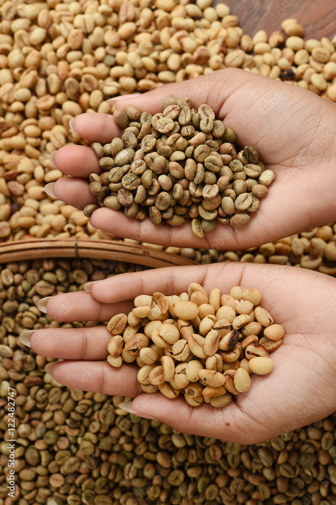 Close up of coffee beans on hand Close up of coffee beans on hand