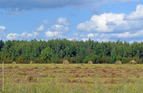 Fototapeta Naklejka Na Ścianę i Meble -  Фермерское поле с рулонами разнотравного сена