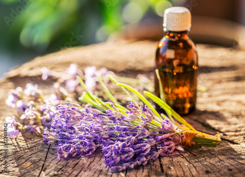 Fototapeta Naklejka Na Ścianę i Meble -  Bunch of lavandula or lavender flowers and oil bottle are on the