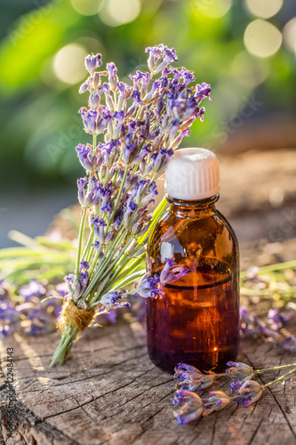 Bunch of lavandula or lavender flowers and oil bottle are on the