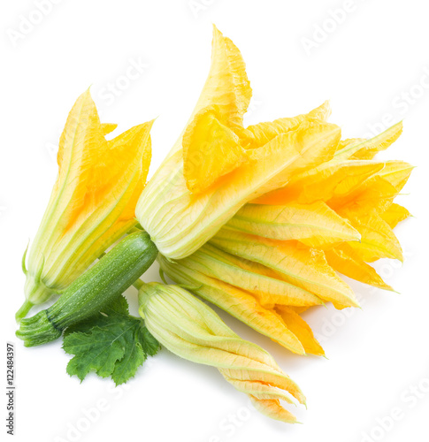 Zucchini flowers on a white background.