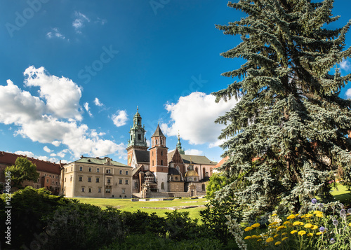 Wawel cathedral in Krakow, Poland