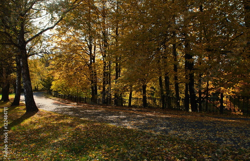 Colorful autumn landscape.Nature background