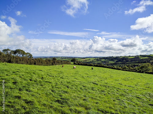Northern Irish Countryside photo
