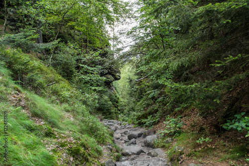 Cuadro en lienzo Wanderweg Wilde Hölle, Nationalpark Sächsische Schweiz