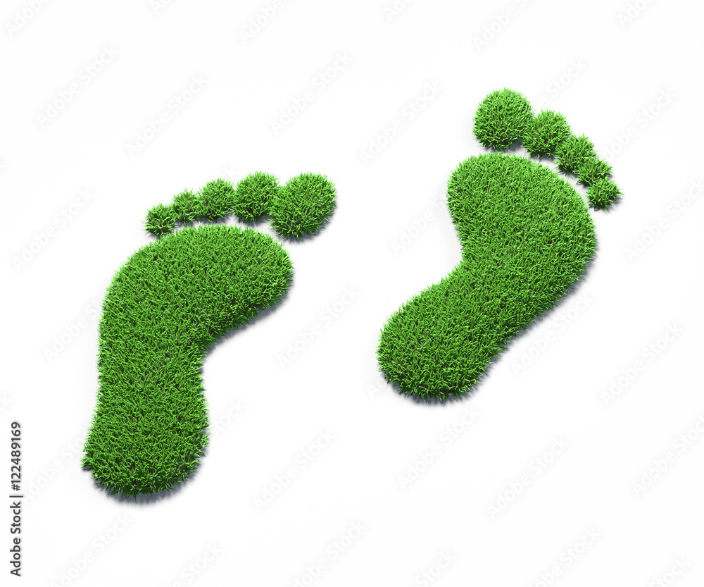Green footprints Green footprints