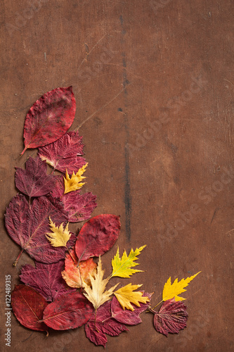 colorful autumn leaves on dark rustic background