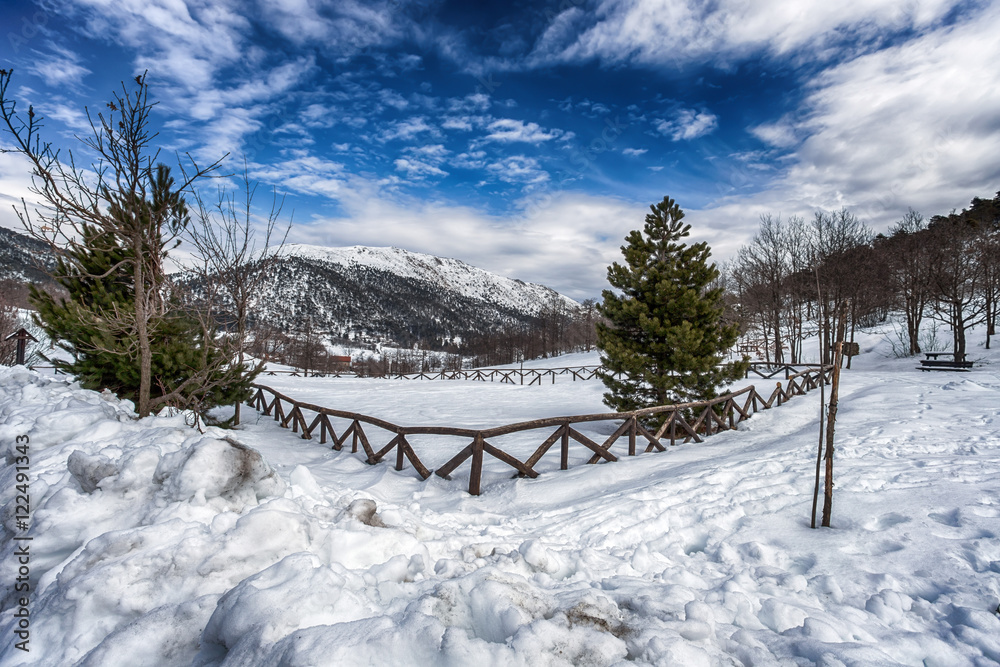 Snow covered countryside driveway with wooden fencing and green firs
