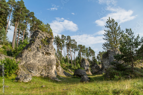 Umgebung am Wanderweg, Wental Felsenmeer