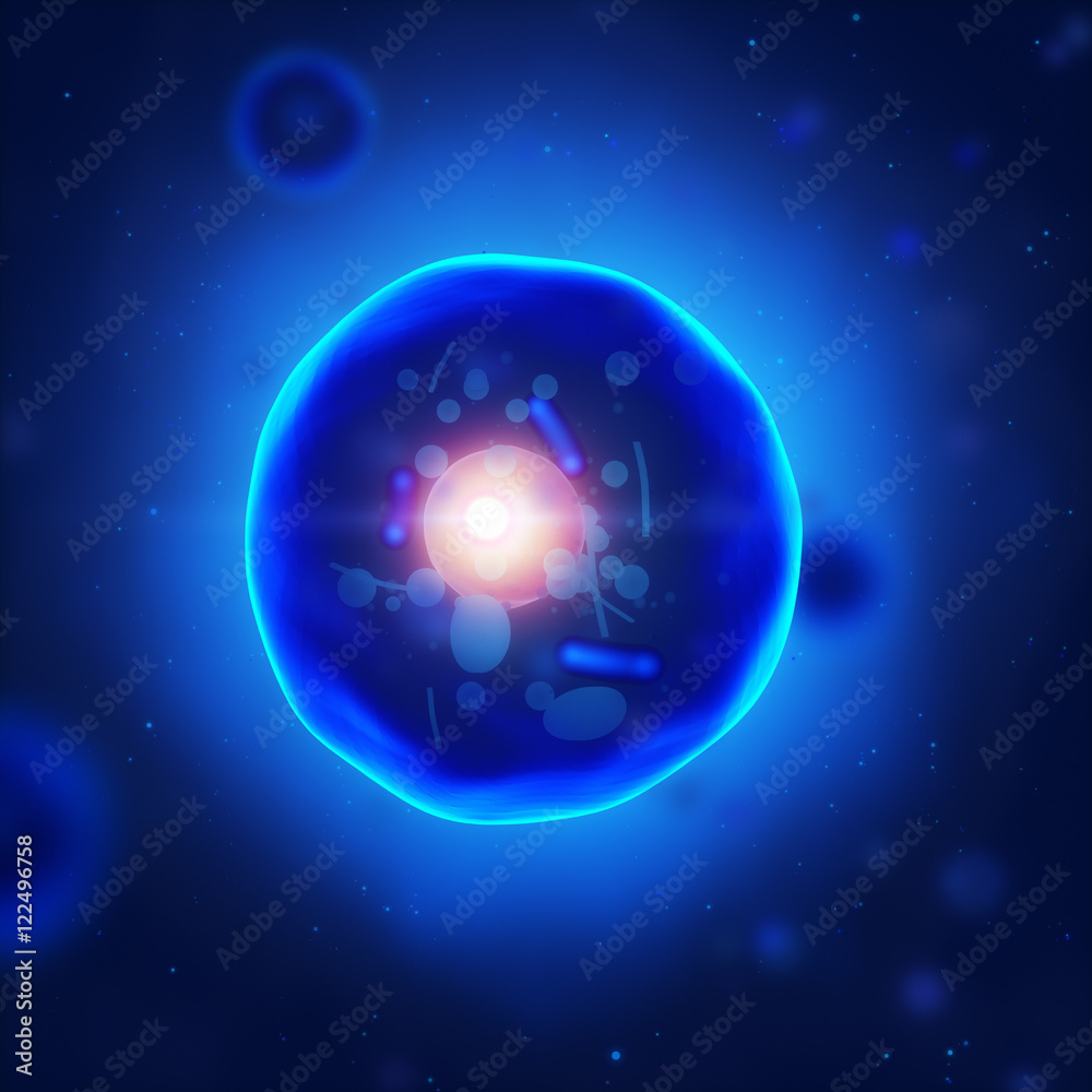 Naklejka premium Human cell with nucleus and mitochondria
