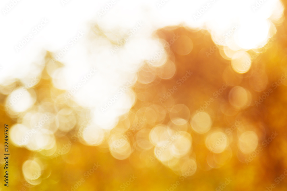 Obraz premium Autumn abstract background blur with sun bokeh