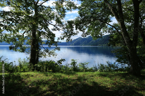 木々の奥に広がる湖畔の絶景