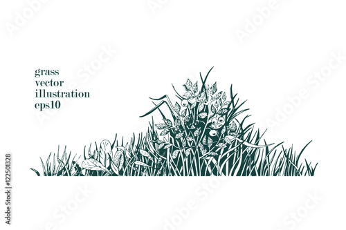 Hand drawn vector illustration of grass and twigs of plants.