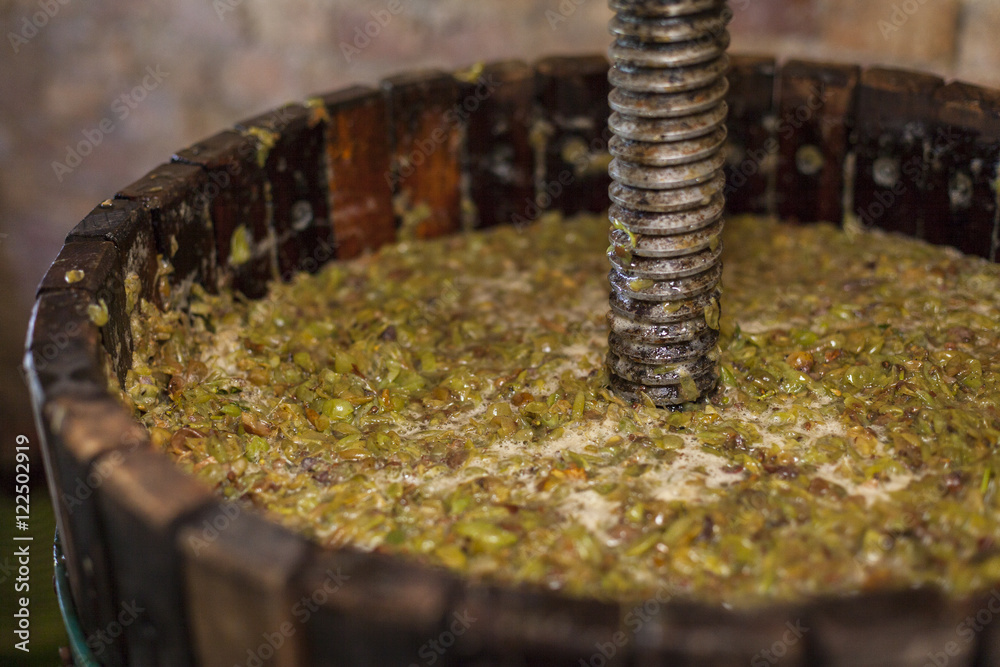Grape harvest: Wine press with white must and helical screw Grape harvest: Wine press with white must and helical screw